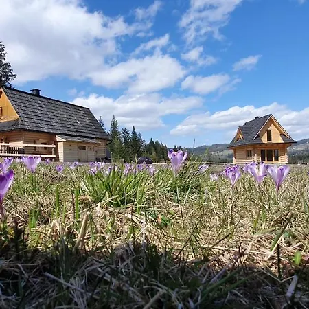 Jedroskowe Chatki 度假居 Witów