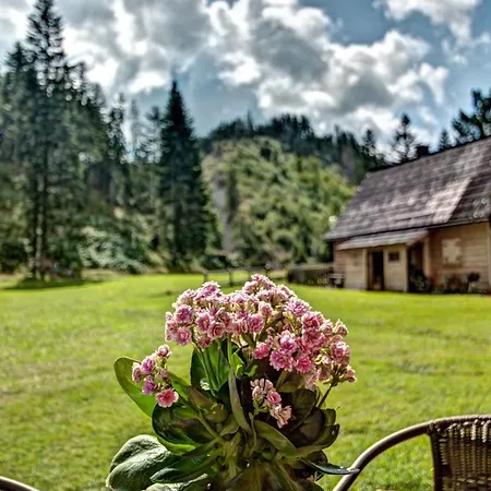 Jedroskowe Chatki *