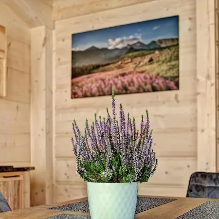 Jedroskowe Chatki Witow (Tatra)