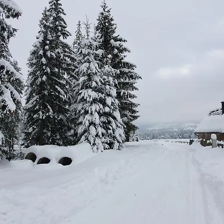 Jedroskowe Chatki Holiday home Witow (Tatra)