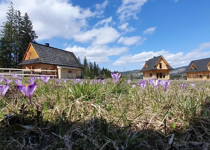 Jedroskowe Chatki 別荘 Witów