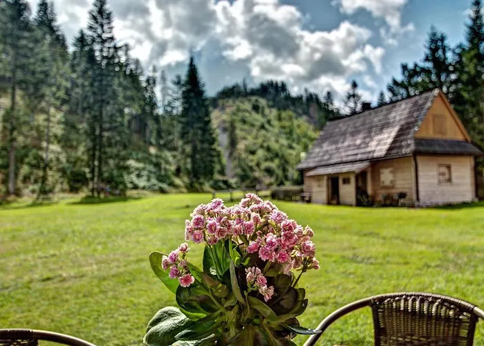 Jędroskowe Chatki *